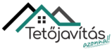 tetojavitas-azonnal.hu Logo